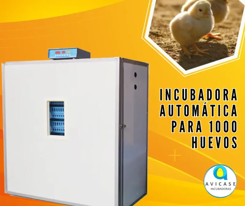 Incubadoras