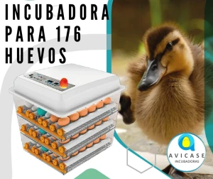 Incubadora de 176 Huevos