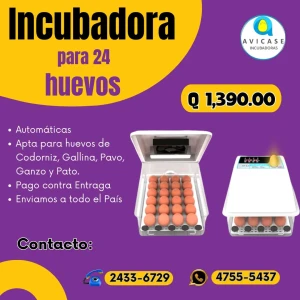 Incubadora de 24 Huevos