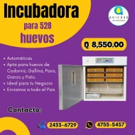 Incubadora de 528 huevos