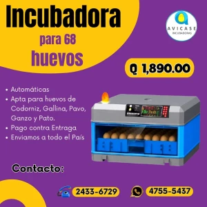 Incubadora de 64 huevos