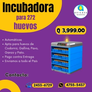 Incubadora de 272 Huevos