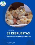 Guía 35 preguntas y sus respuesta sobre incubación